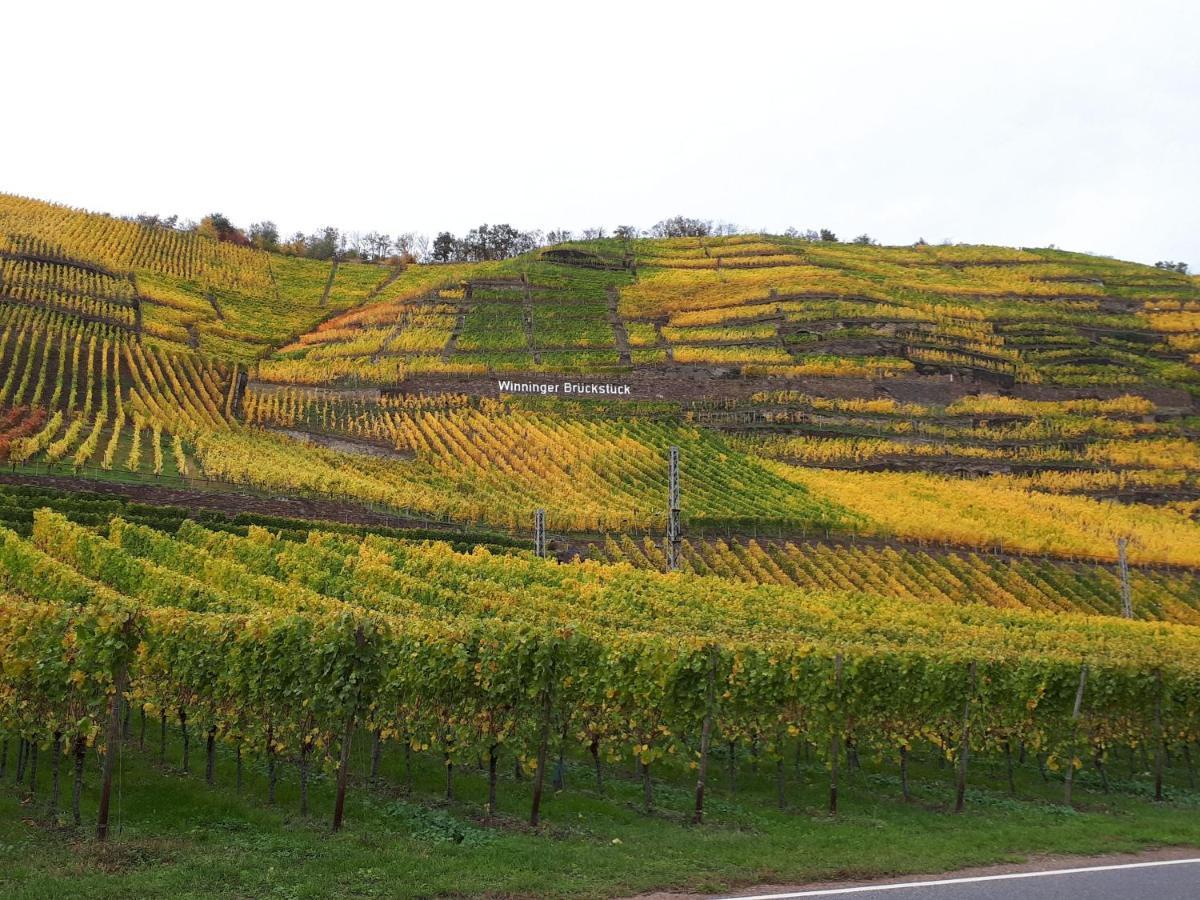 Vakantiehuis Mein-mosel-chalet-haus-birke *